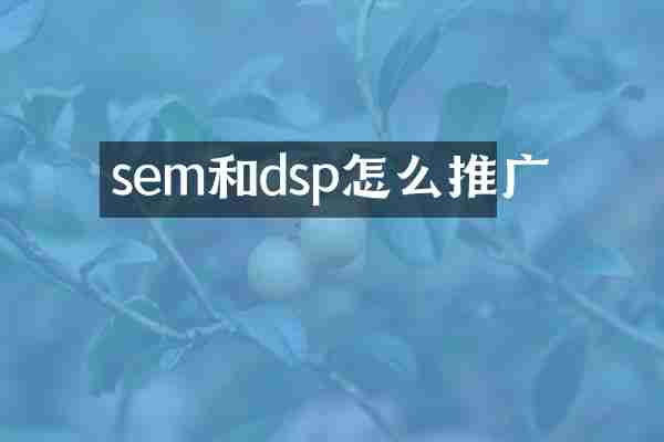 sem和dsp怎么推广