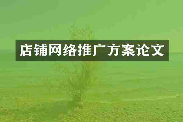 店铺网络推广方案论文