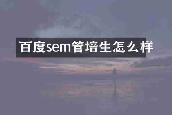 百度sem管培生怎么样