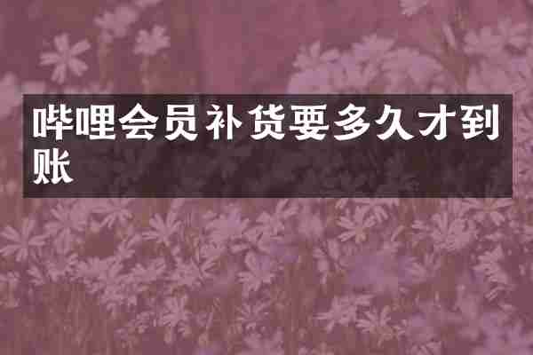 哔哩会员补货要多久才到账