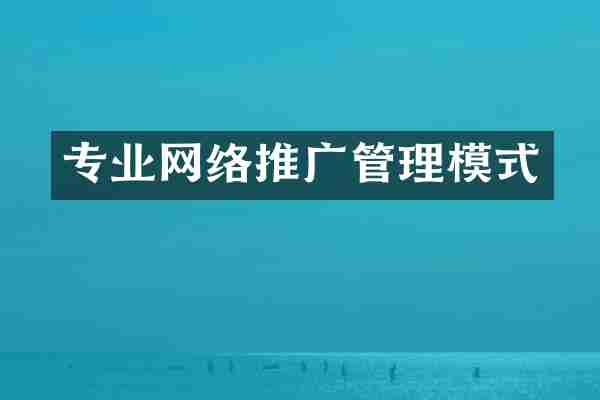 专业网络推广管理模式