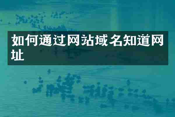 如何通过网站域名知道网址
