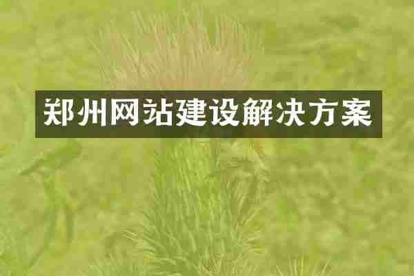 郑州网站建设解决方案