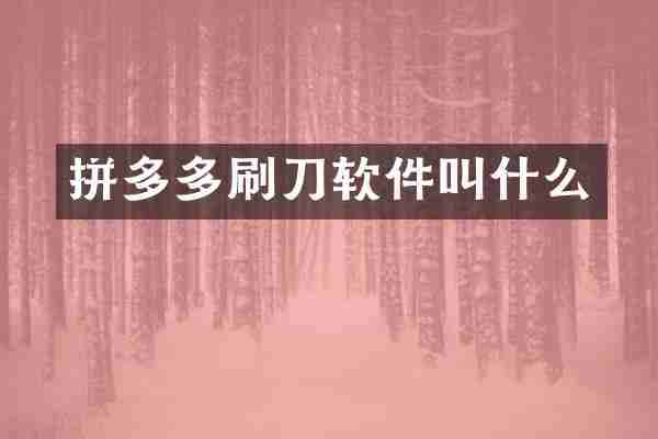 拼多多刷刀软件叫什么