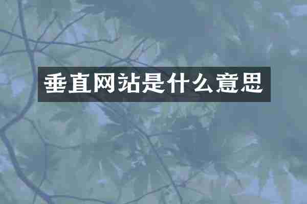 垂直网站是什么意思