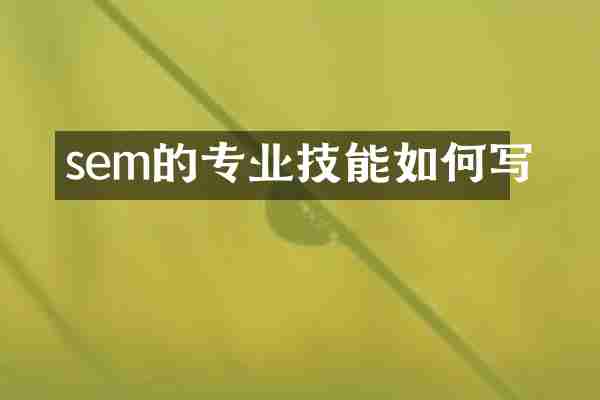 sem的专业技能如何写