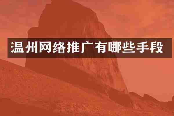 温州网络推广有哪些手段
