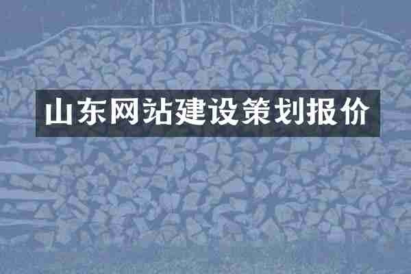 山东网站建设策划报价