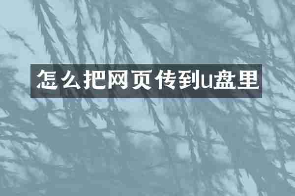 怎么把网页传到u盘里
