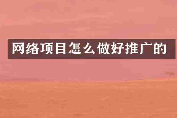 网络项目怎么做好推广的
