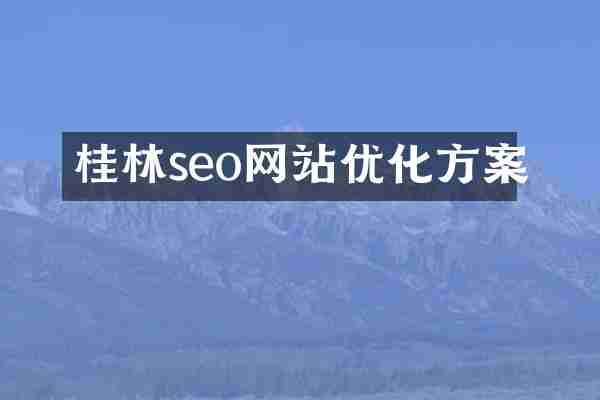 桂林seo网站优化方案