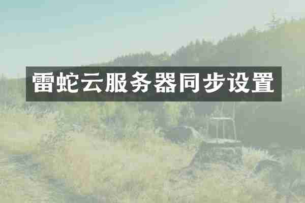 雷蛇云服务器同步设置