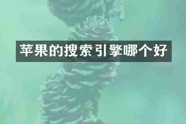 苹果的搜索引擎哪个好