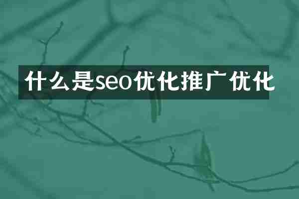 什么是seo优化推广优化