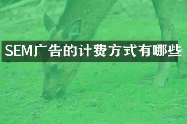 SEM广告的计费方式有哪些