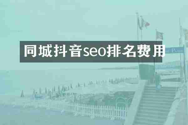 同城抖音seo排名费用
