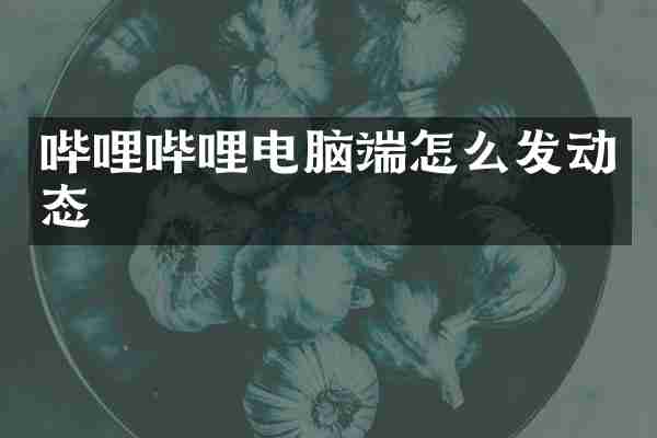 哔哩哔哩电脑端怎么发动态