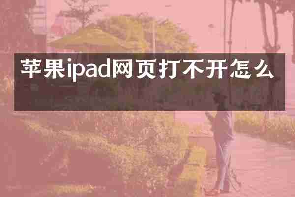 苹果ipad网页打不开怎么办