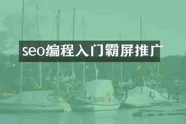 seo编程入门霸屏推广