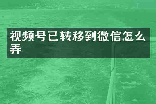 视频号已转移到微信怎么弄