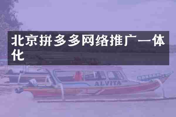 北京拼多多网络推广一体化