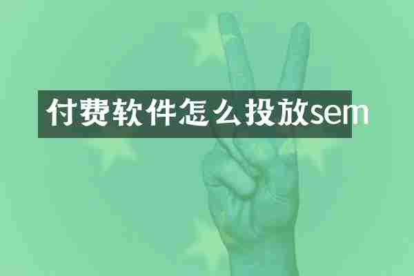 付费软件怎么投放sem