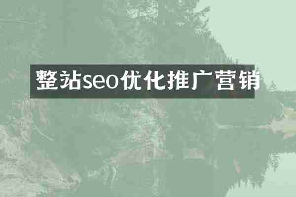 整站seo优化推广营销
