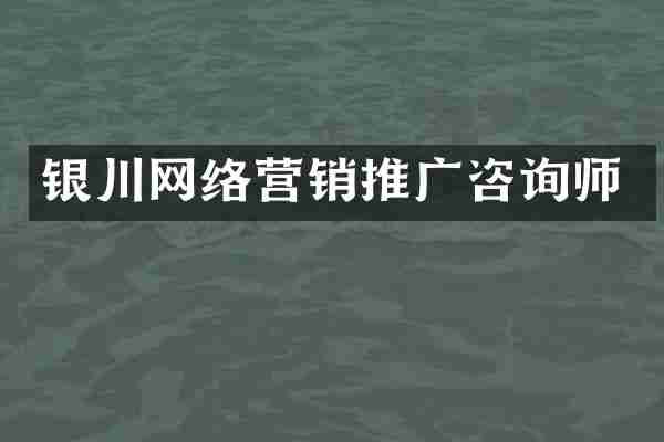 银川网络营销推广咨询师