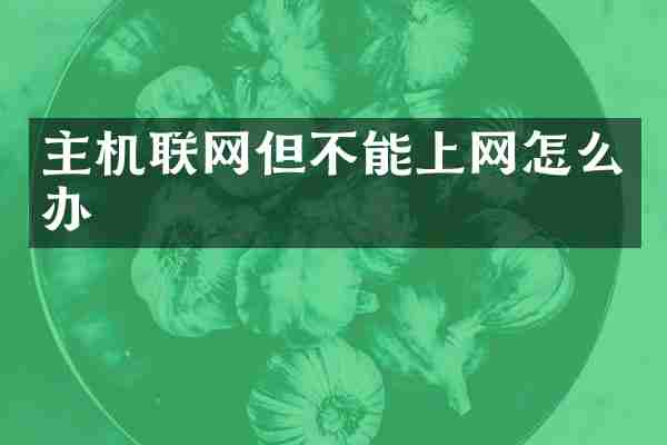 主机联网但不能上网怎么办