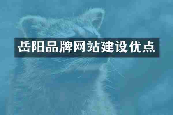 岳阳品牌网站建设优点