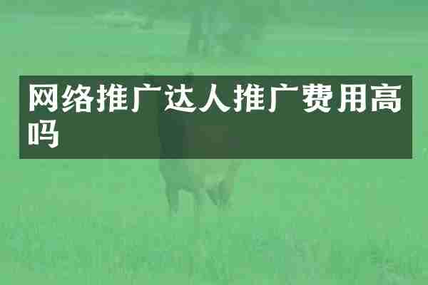 网络推广达人推广费用高吗