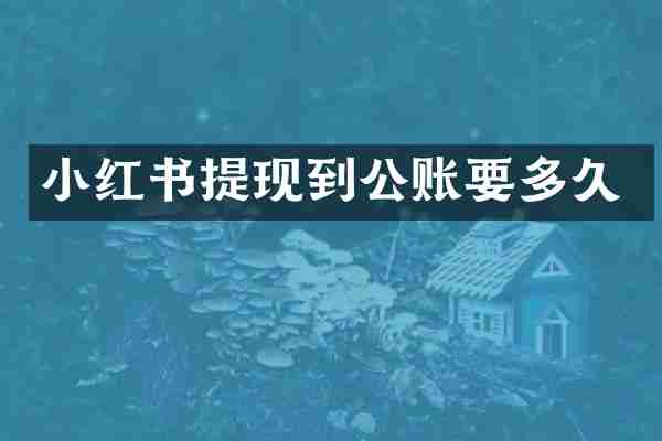 小红书提现到公账要多久