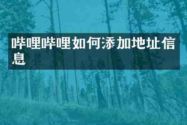 哔哩哔哩如何添加地址信息