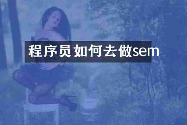 程序员如何去做sem