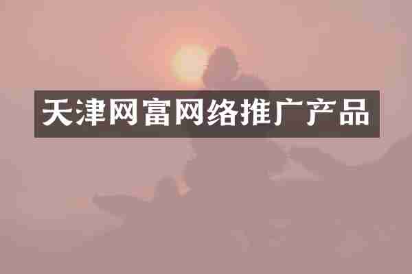 天津网富网络推广产品