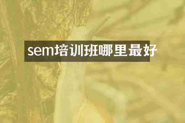 sem培训班哪里最好