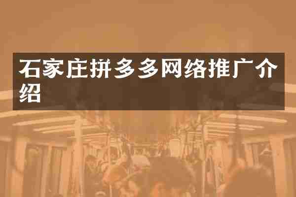 石家庄拼多多网络推广介绍