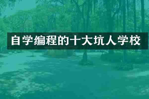 自学编程的十大坑人学校