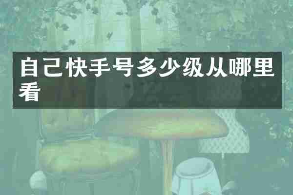 自己快手号多少级从哪里看
