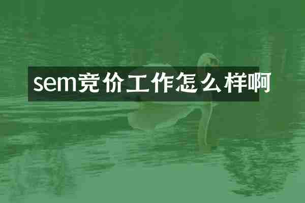 sem竞价工作怎么样啊