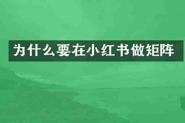 为什么要在小红书做矩阵