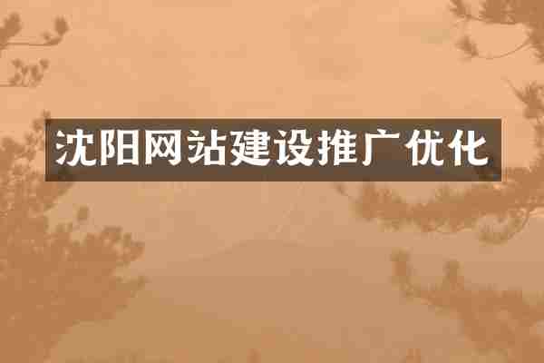 沈阳网站建设推广优化