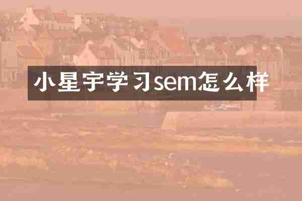 小星宇学习sem怎么样