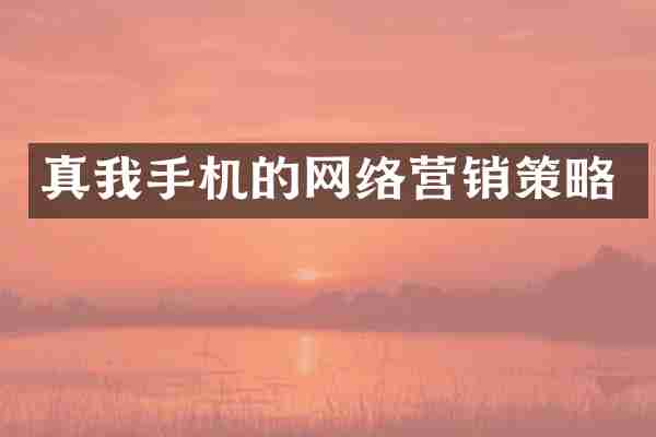 真我手机的网络营销策略