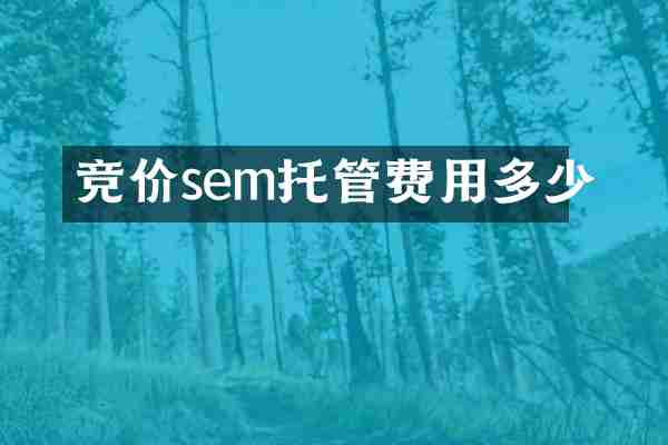 竞价sem托管费用多少