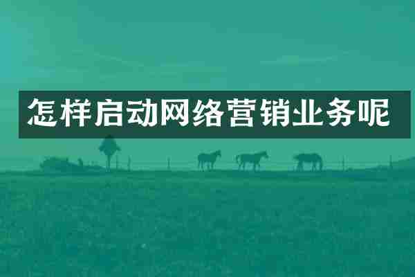 怎样启动网络营销业务呢