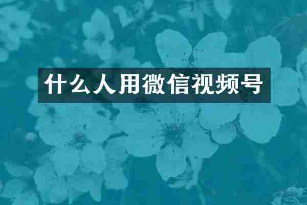 什么人用微信视频号