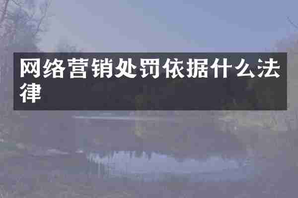 网络营销处罚依据什么法律