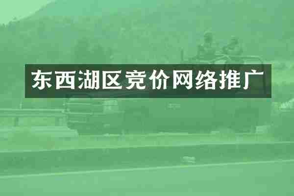 东西湖区竞价网络推广