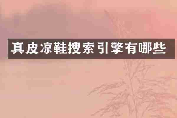 真皮凉鞋搜索引擎有哪些